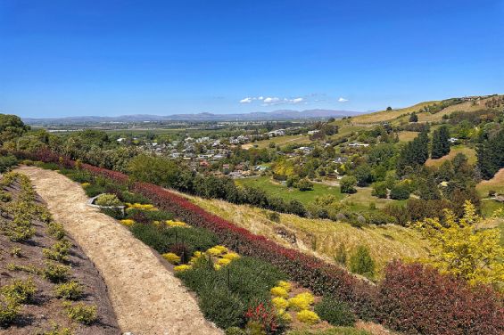 The Black Cottage - gardens