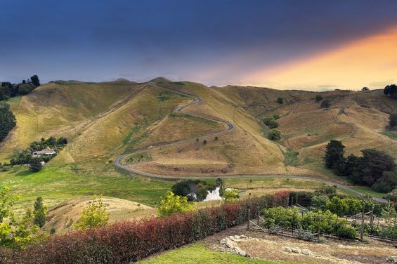 The Black Cottage - views