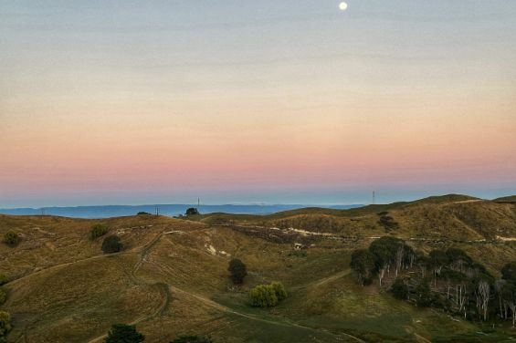 The Black Cottage - views