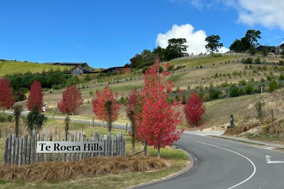 The Black Cottage - views